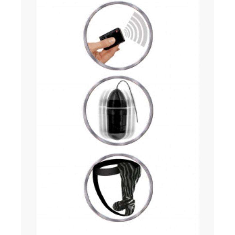 Remote Control Fantasy Panty