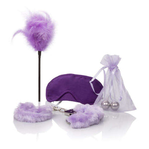 Berman Shades of Purple Playroom Kit